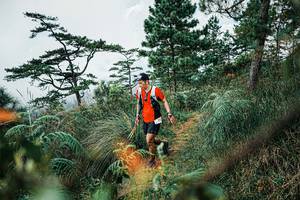 BIB: 
                            <button type="button" onclick="openModal(25259587)" class="btn btn-primary btn-sm float-right btn-popup" data-toggle="modal" data-target=".modal-high-quality">
                        <i class="fas fa-shopping-cart"></i> Add to Cart
                    </button>
                                            <button type="button" onclick="isThisMe(25259587, true)" class="btn btn-success btn-sm float-right btn-popup btn-isme hidden" data-toggle="tooltip" data-placement="bottom" title="นี่คือรูปของคุณใช่ไหม คลิกที่นี่เพื่อเอาเข้าอัลบั้ม">
                        <i class="fas fa-plus"></i> Add to album
                    </button>
                    <button type="button" onclick="isThisMe(25259587, false)" class="btn btn-warning btn-sm float-right btn-popup btn-isnotme hidden">
                        <i class="fas fa-ban"></i> Remove from album
                    </button>